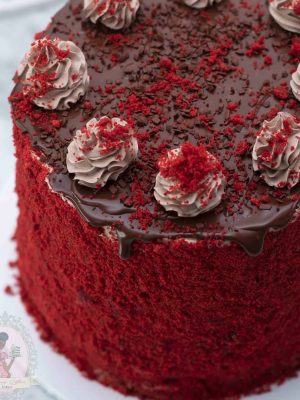 Red Velvet and Chocolate Ice-cream Cake