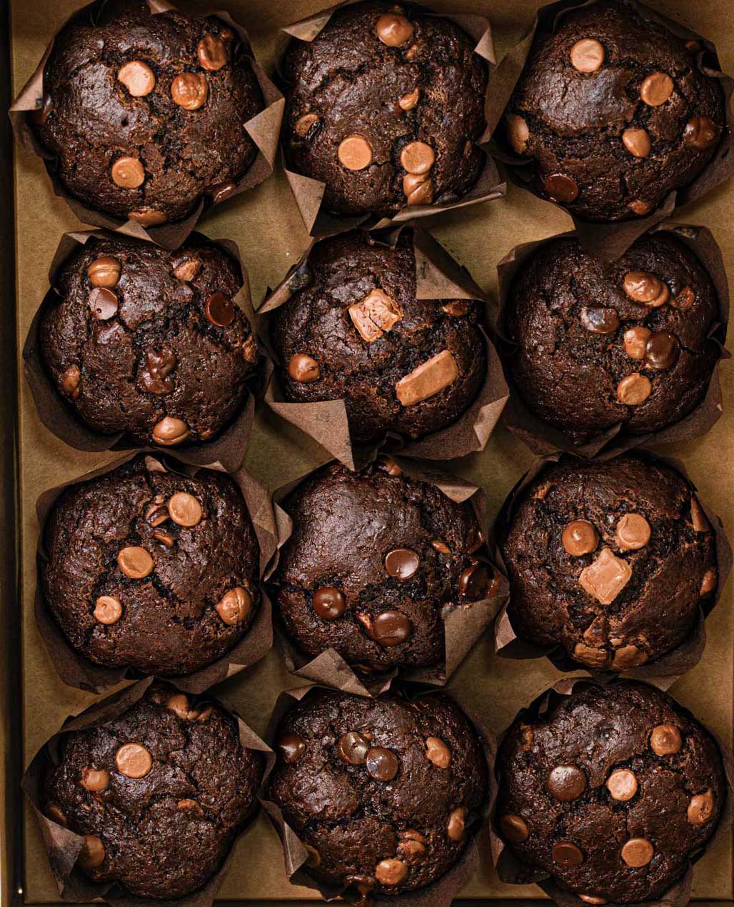 Chocolate Muffins