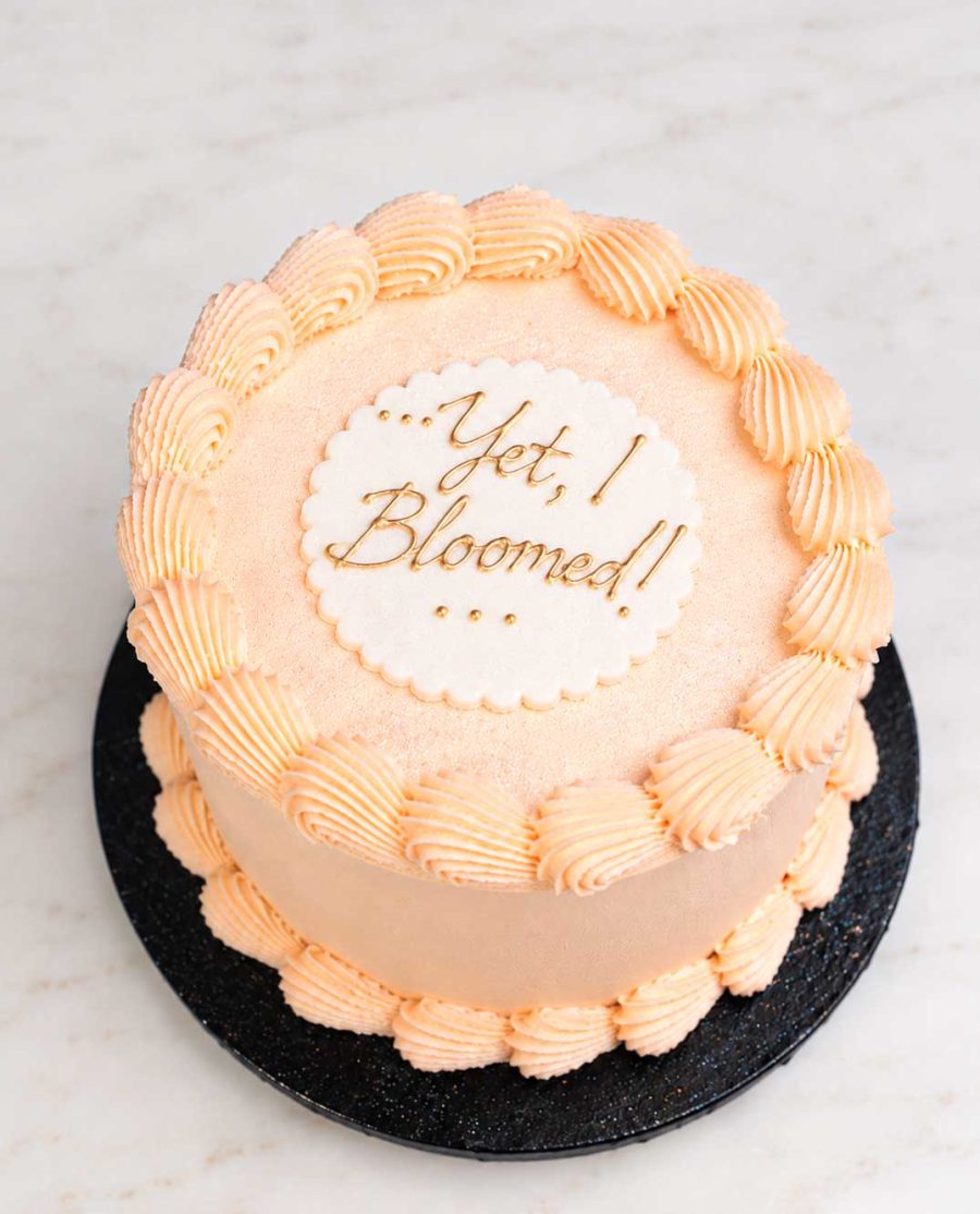 Plain Design Cake